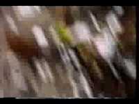 pochette album The ocean doesn't want me