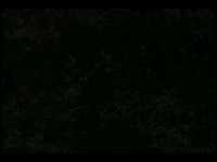 pochette album Trouble's braids