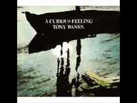 pochette album In the dark