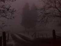 pochette album Still it takes me by surprise