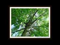 pochette album That lucky old sun