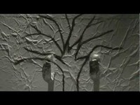 pochette album The patient