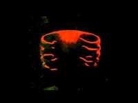 pochette album Undertow