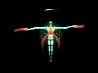 pochette album You lied