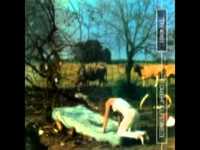 pochette album Toodles mr jim