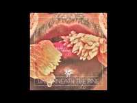 pochette album Chi chi