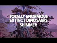 pochette album Shimmer