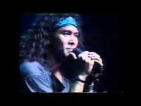 pochette album Animal