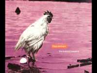 pochette album Dandelion