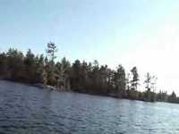 pochette album As i wind down the pines