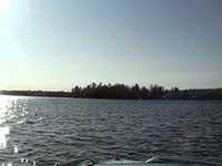 pochette album Lake fever