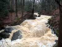 pochette album Membership