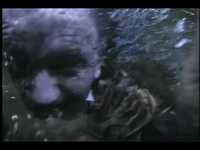 pochette album Nautical disaster