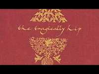 pochette album Scared