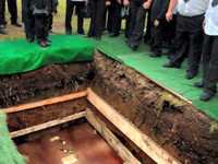 pochette album The last of the unplucked gems