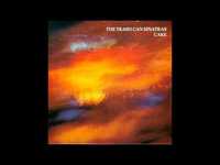 pochette album January's little joke