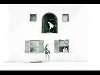 pochette album The devil's been busy