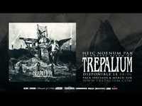 pochette album Insane architect