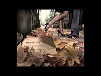 pochette album Stay, there's nowhere else