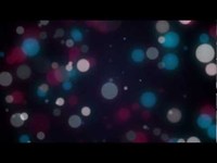 pochette album Windora bug