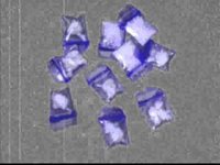 pochette album I pop