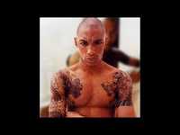 pochette album Flynn