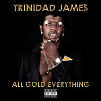 pochette album All gold everything