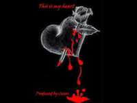 pochette album Anything at all