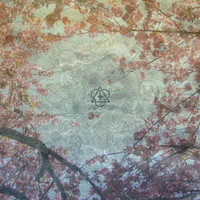 pochette album Messengers