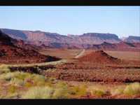 pochette album Wilde pferde