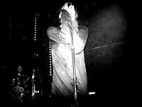 pochette album The last dregs