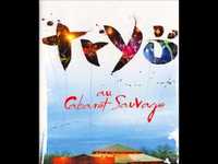 pochette album Sauvage