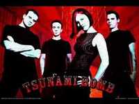 pochette album ... not forever