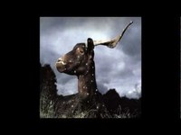 pochette album Merlin