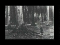 pochette album The night