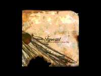 pochette album Out comes the brave