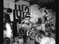 pochette album The fool