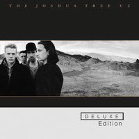 pochette album Wave of sorrow (birdland)