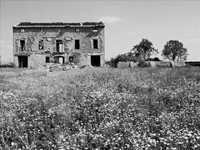 pochette album Surrendered to the decadence