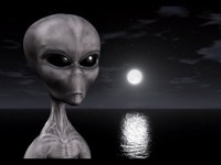 pochette album The real deal