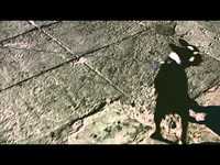 pochette album Beesting