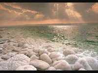 pochette album Would you like to be there