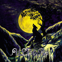 pochette album Wolf & destiny