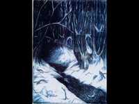 pochette album Noctulius