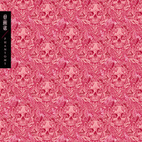 pochette album Rubicon