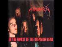 pochette album Blackness of the fallen star