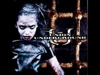 pochette album Killing the fly