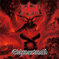 pochette album Schwarzwald