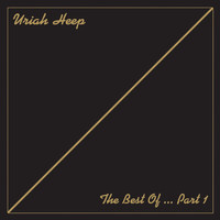 pochette album The wizard