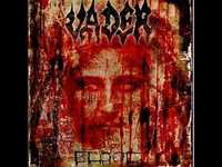 pochette album Shape shifting